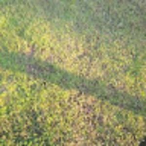 Meet your Posher, Nathan